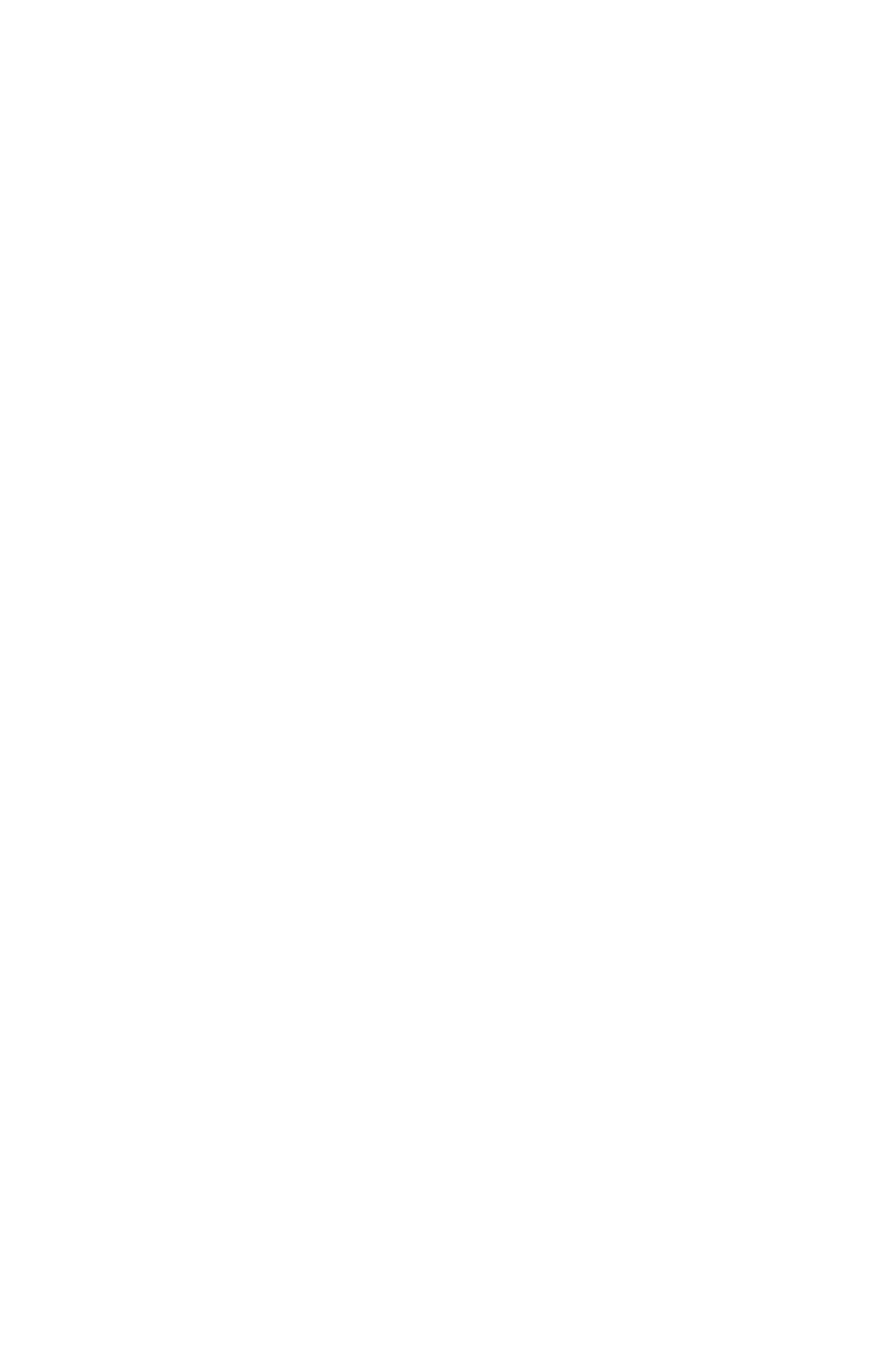 Monograma VL Agronegócios